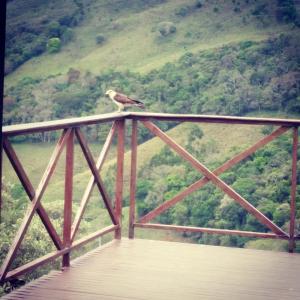 Casa em Conceição de Ibitipoca