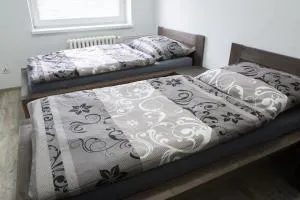 Kopačka - بارتيزانسكى