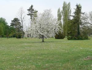 B&B / Chambres d'hotes La Bribaudonniere : photos des chambres