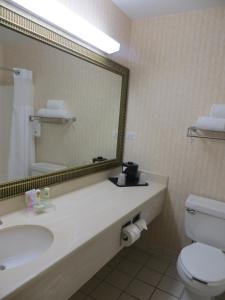 King Room room in Country Inn & Suites by Radisson Gurnee IL