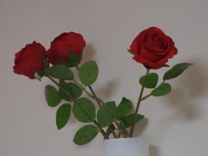 Teleki Apartman Kaposvár