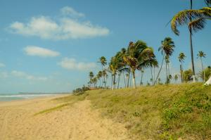 Ancorar Porto de Galinhas Flats