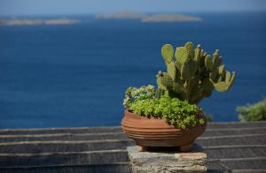 Aegean Luxury Villa Andros Greece