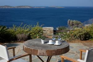 Aegean Luxury Villa Andros Greece