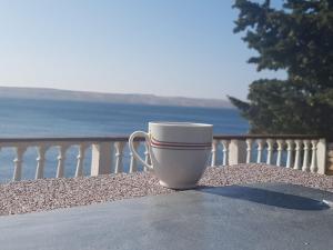 Studio in Baric Draga I