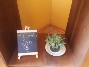 La Casa de las Flores