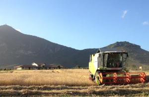 Saludi&Trigu - Rural Apartments img28