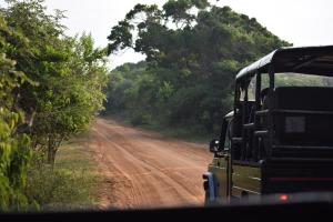 Jetwing Jungle Lodge, A Luxury Reserve