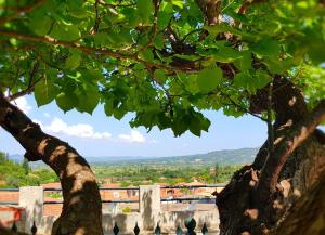 Olympia Palace Villa View Ilia Greece