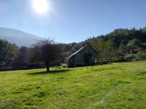 Les chalets de la foret d'Issaux : photos des chambres