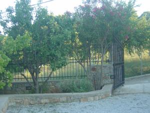 Captain George's Apartments Alonissos Greece