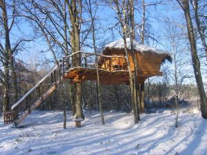 Maisons de vacances Une Nuit aux Lierres... : photos des chambres