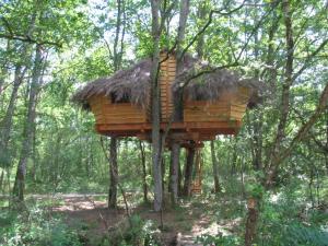 Maisons de vacances Une Nuit aux Lierres... : photos des chambres