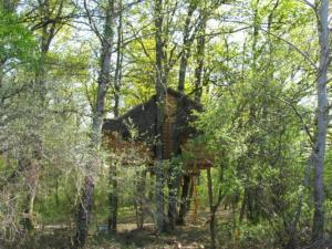 Maisons de vacances Une Nuit aux Lierres... : photos des chambres