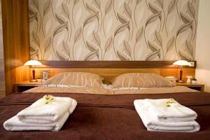 Double Room room in Centrum Panzió