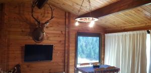 Lakeview Cottage