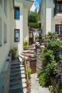 Iliovolo Guesthouse Pelion Greece