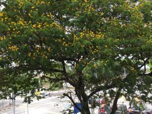 Macallum Budget Muslim Homestay