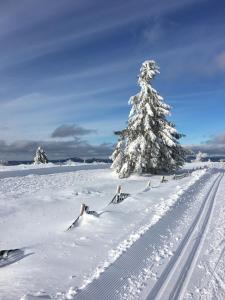 Maisons de vacances Gite de montagne -Bellefosse Alsace : photos des chambres