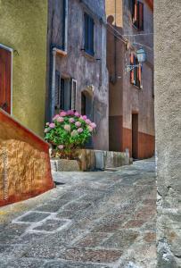 La Favola di Dani img40