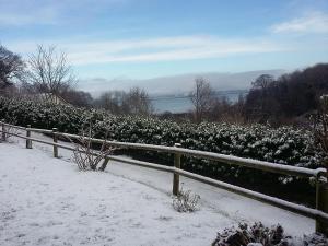 Les Hauts du Fort photo 18