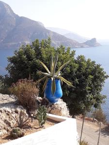 Villa Anna Kalymnos Greece