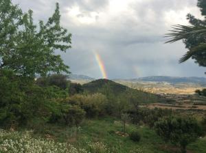 Chalets Yourte Nature / Gite Saint Roch : photos des chambres