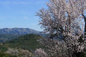 Chalets Yourte Nature / Gite Saint Roch : photos des chambres