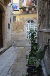 Casa Minerva