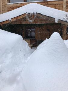 Chalet Pomme de Pin photo 9