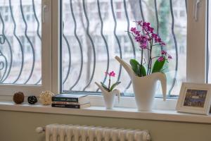 Central stylish & cozy one bedroom Apartment - Adela Accommodation - Ideal for long stays