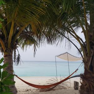 Vaali Maldives Island Escapes & Dive