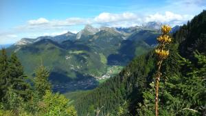 Appartements Les Sapins Blancs : photos des chambres