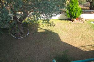 Billias House Halkidiki Greece
