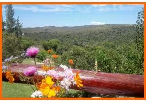 Cabañas Club del Lago - Characate