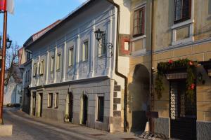 Apartma Linhartov trg