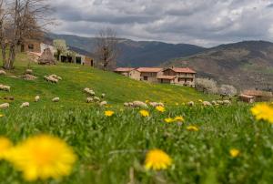 Can Galló