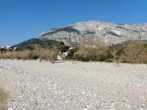 Tiki Rooms Samos Greece