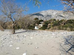 Tiki Rooms Samos Greece