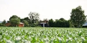 Demeterhof Dünninger - Haßfurt