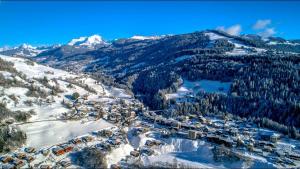 Appartements Les portes du Mont Blanc : photos des chambres