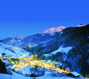 Appartements Les portes du Mont Blanc : photos des chambres