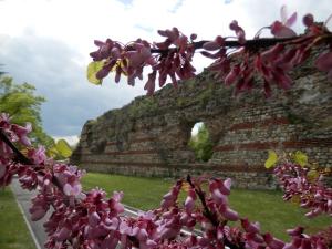 Апартамент 13