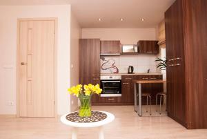 EVArent Apartament Free parking