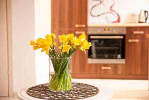 EVArent Apartament Free parking