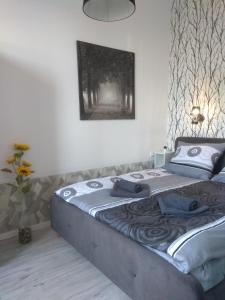 Apartment Orawska