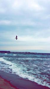 "Bellevue" Villa Andrea