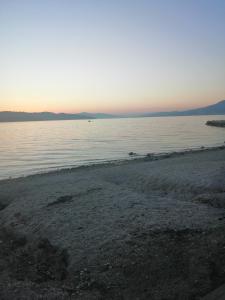 Apartmani Island