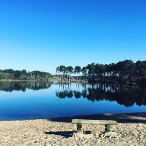 Maisons de vacances L'Oree des Landes : photos des chambres