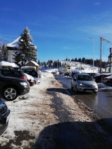 Apartments Kraljeva Dolina